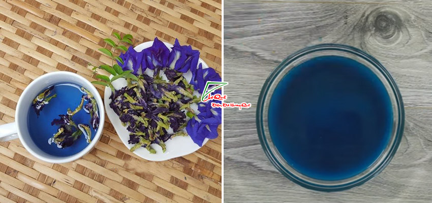 Lấy màu hoa đậu biếc